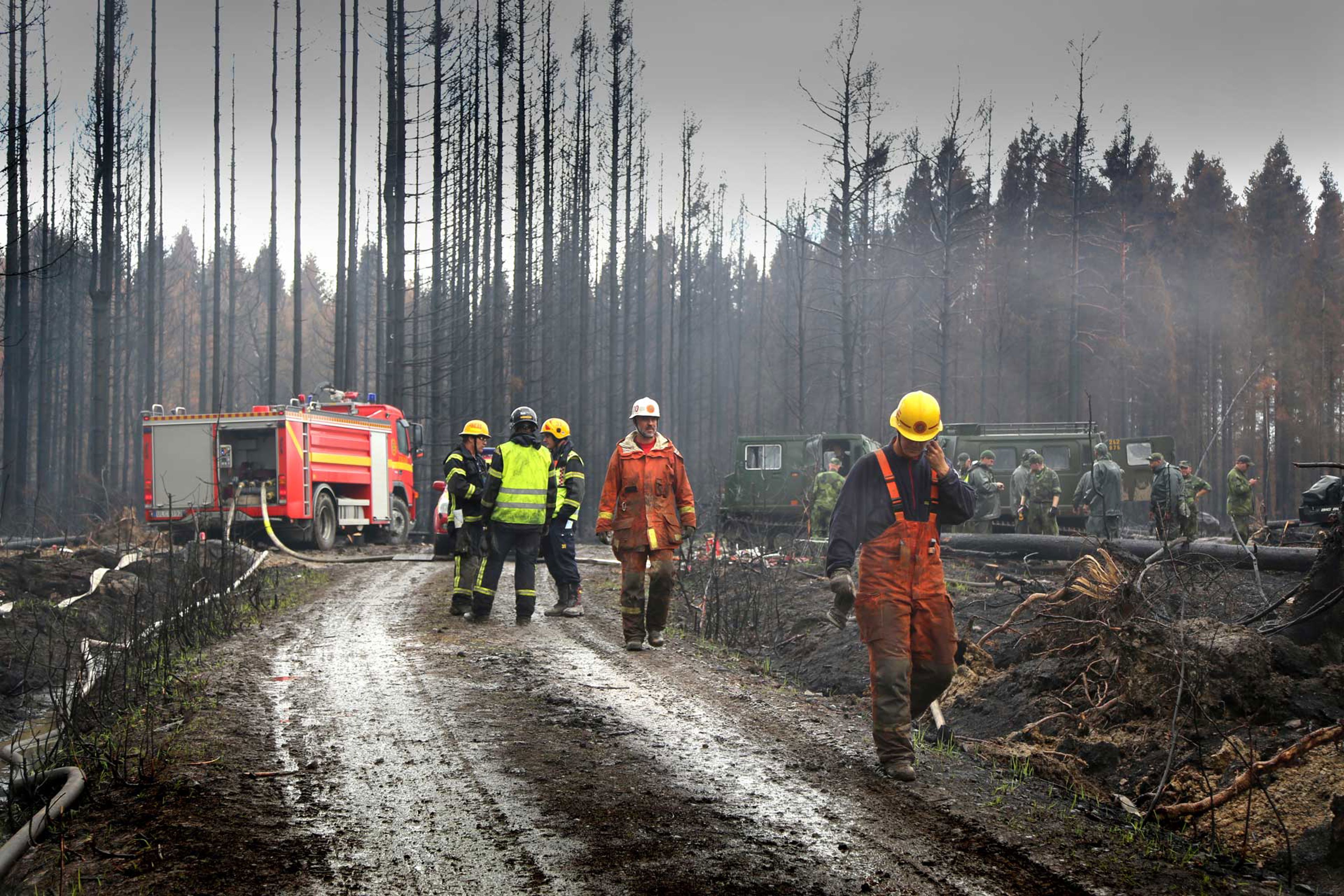 Räddningstjänst och soldater som släcker skogsbrand.