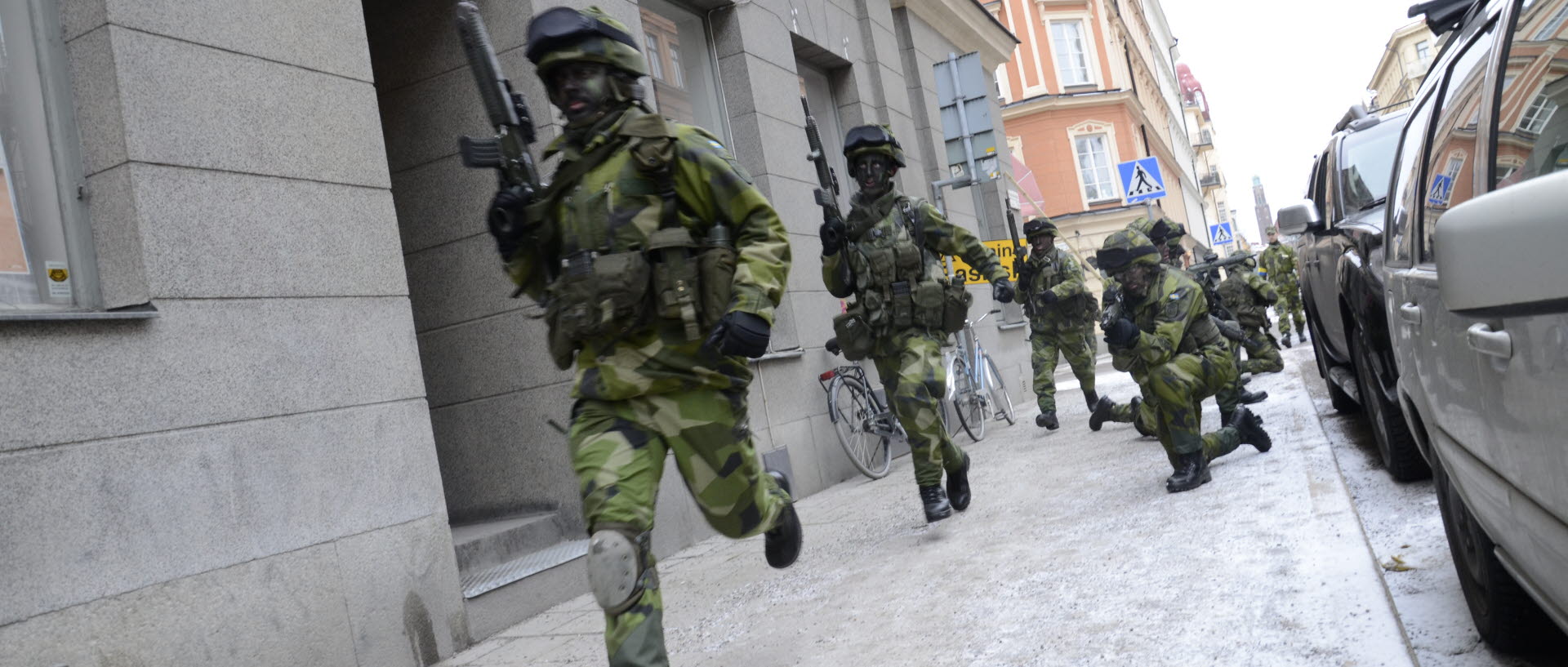 Livgardet försvarsmakten