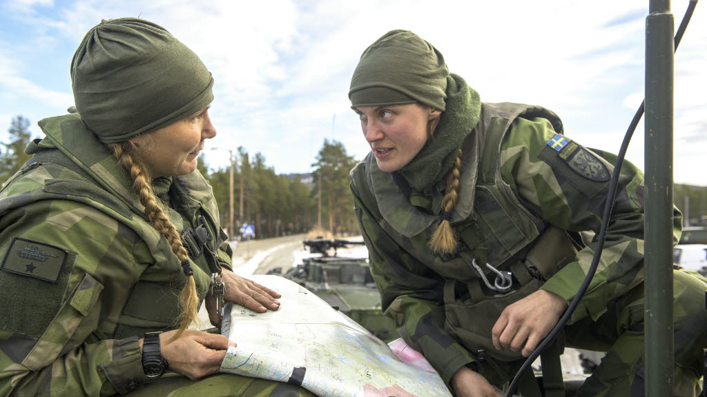 the swedish armed forces