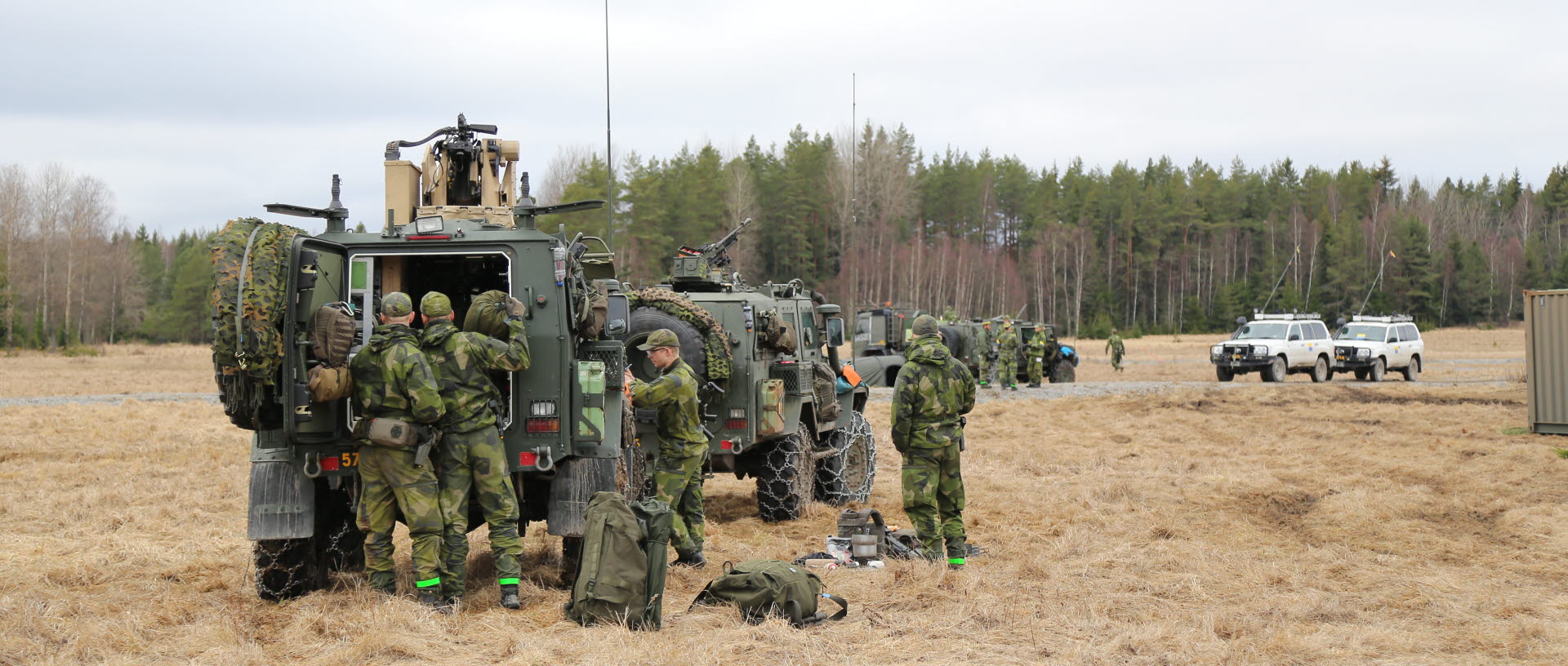 Livgardet försvarsmakten