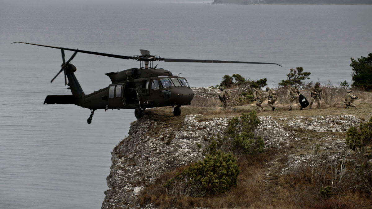 special operations task group sog swedish armed forces armed security guard